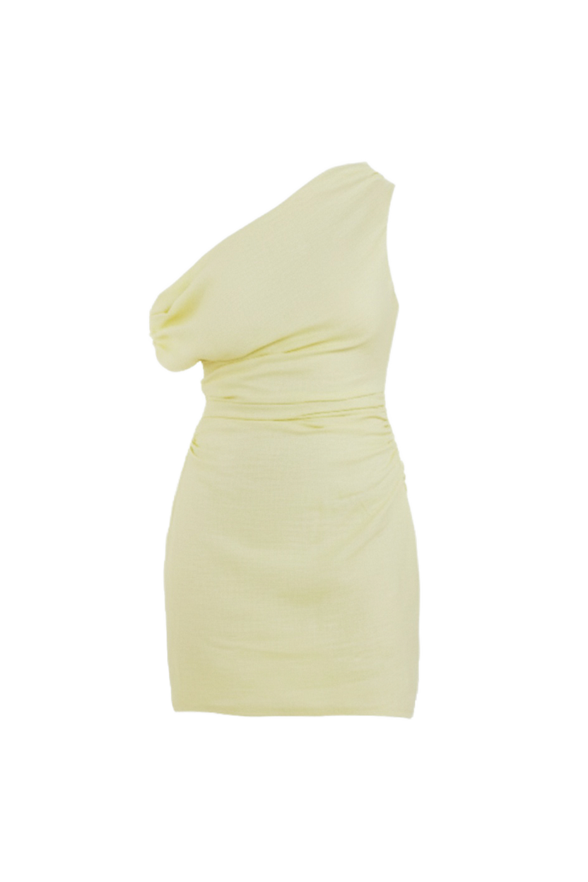 Amelia Mini Dress